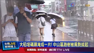 Dadaocheng Wharf Flooded! Trees Uprooted by Winds in Zhongshan District