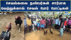 சேவல்கலை நண்பர்கள் சார்பாக வெற்றுக்கால் சேவல் போர் போட்டிகள் நடைபெற்றது.#rajnewstamil