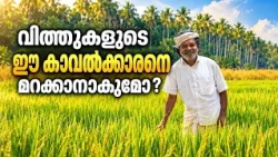 മണ്ണിനെയും പ്രകൃതിയെയും ഒരുപോലെ സ്നേഹിച്ച ചെറുവയൽ രാമൻ | Cheruvayal Raman