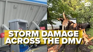 Powerful storms topple tree into Maryland home, damage DC gas station