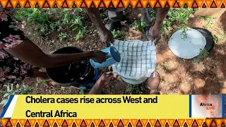 Cholera cases rise across West and Central Africa