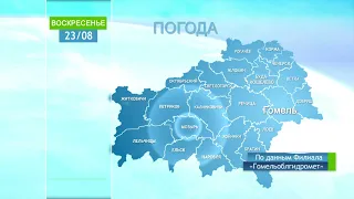 Погода в Гомеле и Гомельской области 23 августа