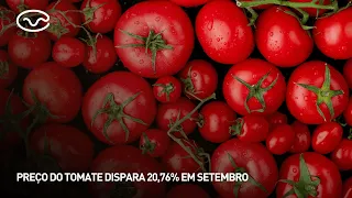 Tomato prices soar 20.76% in September