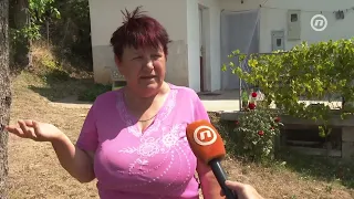 POSLJEDICE POŽARA U BiH: Uništene šume i poljoprivredna dobra, šteta se tek zbraja