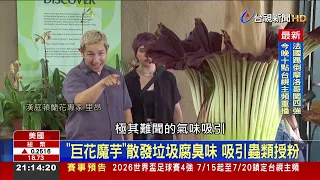 Two Corpse Flowers Bloom Simultaneously in Southern California, Crowds Flock to Get a Whiff
