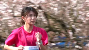 梅の花を楽しみながら走る 南紀田辺UMEロードマラソン 和歌山県田辺市