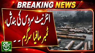 Internet Service Suspended, Timber Mafia Active in the Area | Breaking Such News