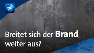 Regierung von NRW warnt Bevölkerung: „Gehen Sie nicht mehr in die Wälder“