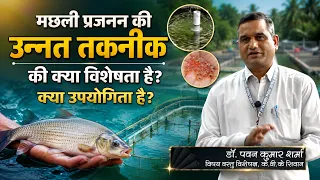 Advanced Fish Breeding Technology | What are its Features and Benefits?