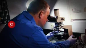 "Die Forensiker" - auf S1