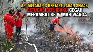 WILDFIRE ALERT