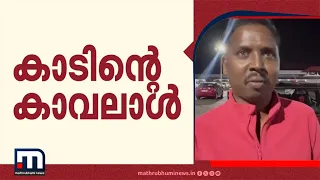 കാടിനെ കാക്കാൻ അയാളും! ആദിവാസി വിഭാഗത്തിൽനിന്ന് ആദ്യ ഫോറസ്റ്റ് റേഞ്ച് ഓഫീസറായി ബിനു | Palakkad