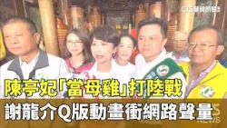 Chen Ting-fei leads "ground game" campaign while Hsieh Lung-chieh uses chibi animation to boost o...