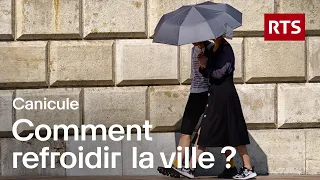 40 °C en ville : comment éviter que nos rues deviennent des fournaises ? | RTS