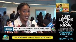 Min. Of Labour On Industrial Accidents