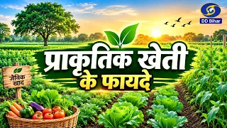 Benefits of Natural Farming | Dr. Rita Singh | Producer - Pawan Kumar