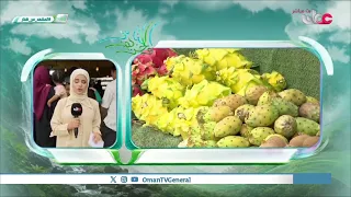 From Tree to Tourist: The Story of Coconuts in the Dhofar Autumn