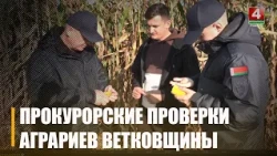 Более 140 актов прокурорского реагирования вынесено на Гомельщине за период уборочной