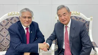 Chinese Foreign Minister meets with his Pakistani counterpart