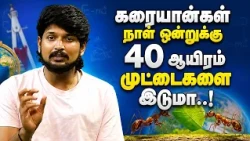 கால்களை வைத்து சுவை திறனை உணரும் பூச்சிகள்..! | Therinthu Kolvom | Vasanth TV