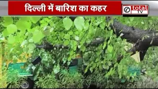 बारिश के बाद अगस्त क्रांति मार्ग पर गिरा विशालकाय पेड़, दो ऑटो क्षतिग्रस्त, बड़ा हादसा टला