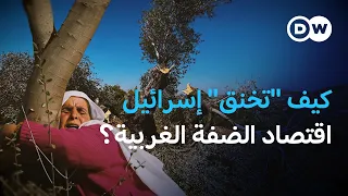 من الزيتون إلى الرواتب: كيف تصف منظمة بتسيلم "خنق اقتصاد" الضفة الغربية؟  | في عمق الخبر