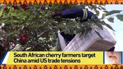South African cherry farmers target China amid US trade tensions