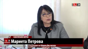 Приеха нова програма за овладяване популацията на уличните кучета в Две могили