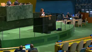 Foreign Minister at the UN