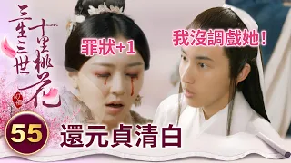 素錦自毀清白終於被揭穿 這次證據確鑿逃不掉了！【三生三世十里桃花】精華 EP55-3 楊冪、趙又廷、迪麗熱巴、高偉光、張智堯 @ctvdrama_classic