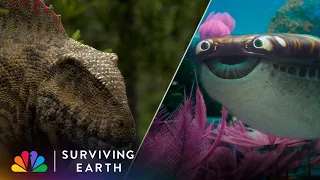 The First Animals to Evolve a Backbone; The Age of Reptiles Begins | Surviving Earth | NBC