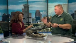 Reptile education with "The Gator Man"