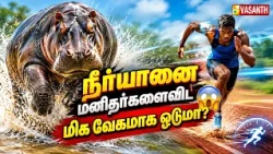 சக்கரவள்ளிக் கிழங்கில் மனிதர்களுக்கு இவ்வளவு நன்மைகளா? 😲 Therinthu Kolvom | Vasanth TV