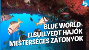 Blue World S04 E04