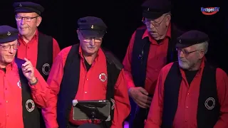 15 Years of Accordion Meeting Friends