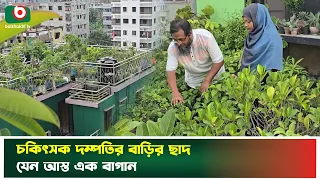 চিকিৎসক দম্পতির বাড়ির ছাদ যেন আস্ত এক বাগান | Narayanganj | Rooftop Garden | Tv News
