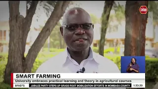 From Classroom to Farm: Kenya embraces practical agriculture learning