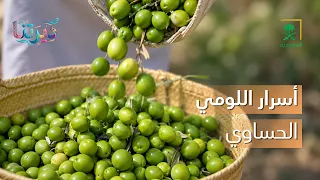 ديرتنا | أسرار اللومي الحساوي في العناية والجمال