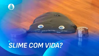 Ele deu VIDA a um SLIME? Olha o Que Acontece Quando Aproximamos um Ímã | Viva a Tarde