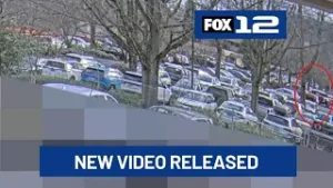 New video shows January shooting involving Border Patrol in Portland