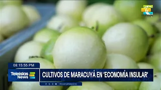 #TeleislasNews I Cultivos de maracuyá en Economía Insular