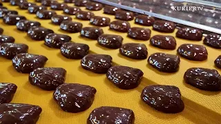 Chocolate Chestnuts: How the Sweet Autumn Treat is Made