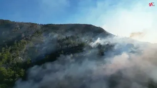 Vatrogasci se ponovo bore sa požarom u Gojčinu