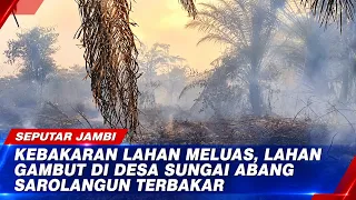 LAND FIRE SPREADS, PEATLAND IN SUNGAI ABANG VILLAGE, SAROLANGUN CATCHES FIRE