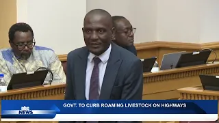 GOVERNMENT PLANS CATTLE ROAMING LAW REFORMS - nbc
