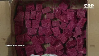 Od 1. oktobra počinje deratizacija širom distrikta - Hit Televizija Brčko
