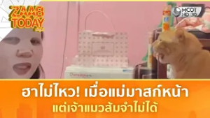 ฮาไม่ไหว! เมื่อแม่มาสก์หน้า แต่เจ้าแมวส้มจำไม่ได้ (27 ก.พ. 69) | แซ่บทูเดย์
