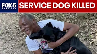 Deputies kill service dog during warrant search at home | FOX 5 News