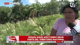 "Everything is lost, the animals are dying, we have nothing," laments Honduran farmer