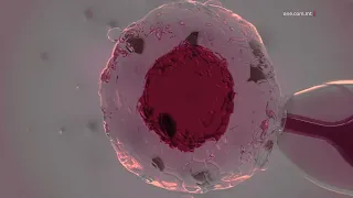€800,000 F’MEDIĊINI B’XEJN TAL-IVF